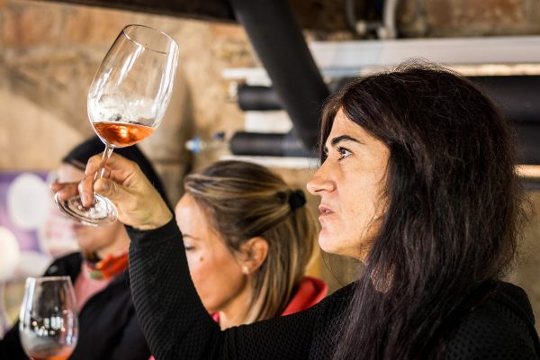 Entre còdols, de l'ermita al celler - Imatge 7