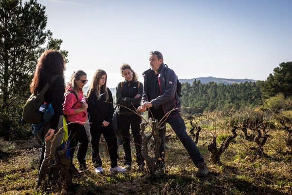 Entre còdols, de l'ermita al celler - Imatge 4