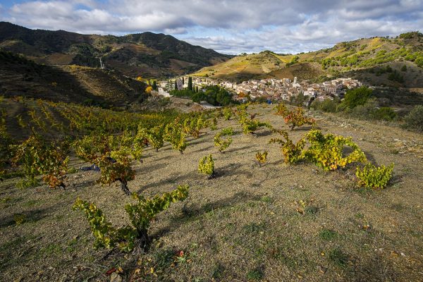 SORTIDA FOTOGRÀFICA DE PAISATGES DE TARDOR I POSTA DE SOL | 25/10/2025 - Imatge 4