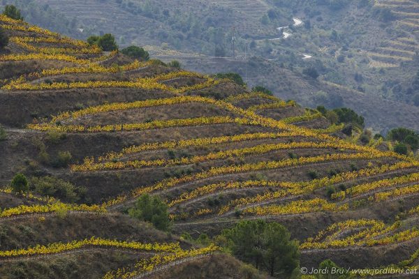 SORTIDA FOTOGRÀFICA DE PAISATGES DE TARDOR I POSTA DE SOL | 25/10/2025 - Imatge 2