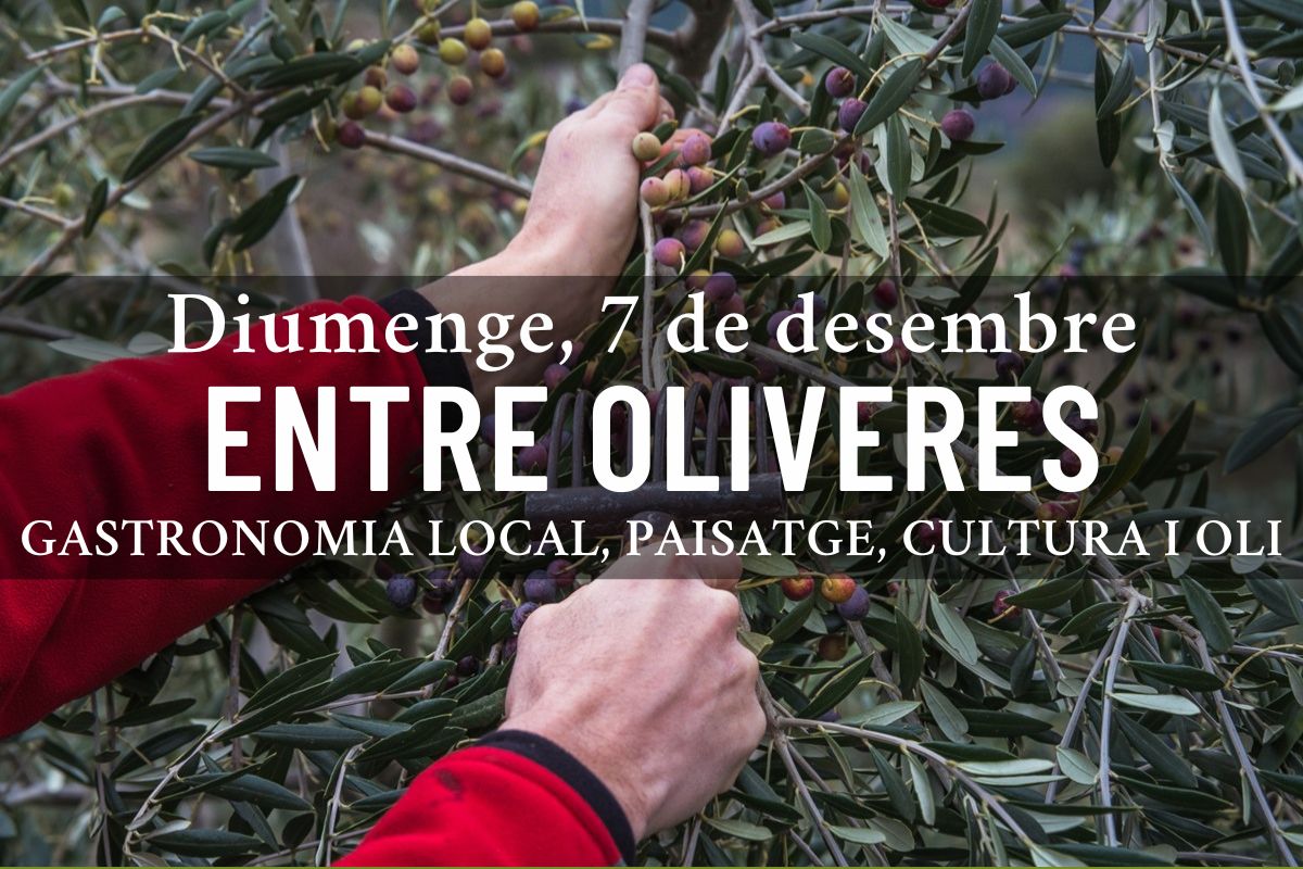 ENTRE OLIVERES – Experiència oleoturística al peus de Montsant